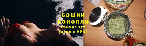 PSILOCYBIN Новодвинск