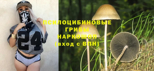 гидропоника Новокубанск