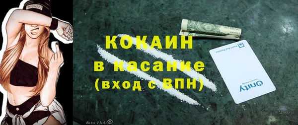 PSILOCYBIN Новодвинск