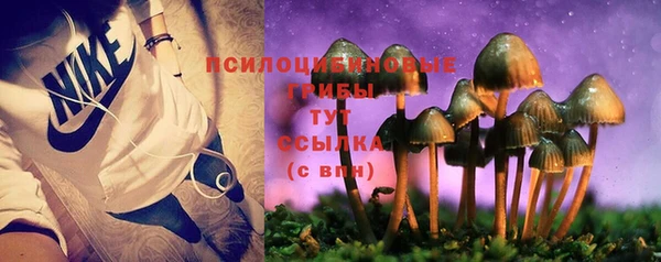 гидропоника Новокубанск