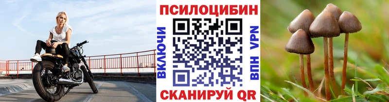 где купить наркоту  даркнет как зайти  Псилоцибиновые грибы мухоморы  Навашино 